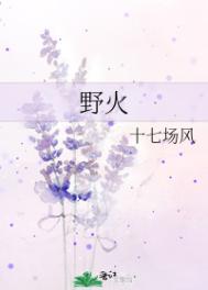野火开发板官网