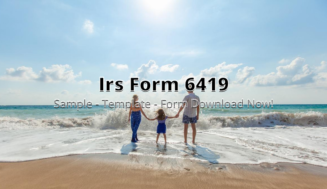 Irs form 6419 Online Instructions
