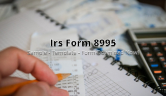 IRS Form 8995 Instructions
