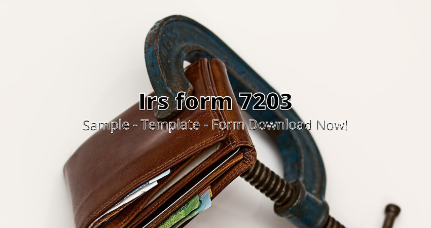 irs form 7203 instructions